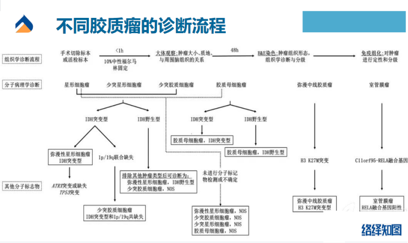 胶质瘤又添新疗法,游动微纳机器人或成精准医疗新希望-肽度TIMEDOO