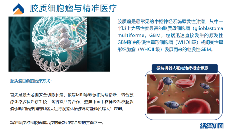 胶质瘤又添新疗法,游动微纳机器人或成精准医疗新希望-肽度TIMEDOO