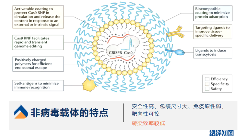 CRISPR/Cas9基因编辑技术大热，非病毒载体技术助力递送系统优化-肽度TIMEDOO