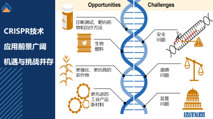 CRISPR/Cas9基因编辑技术大热，非病毒载体技术助力递送系统优化-肽度TIMEDOO
