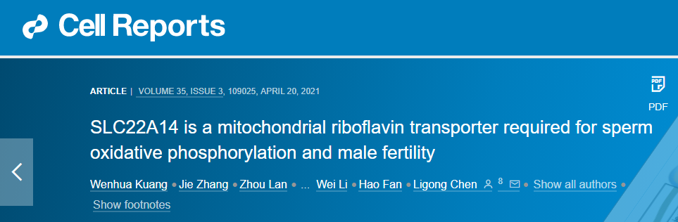找到了！精子质量下降、雄性不育是因为它！