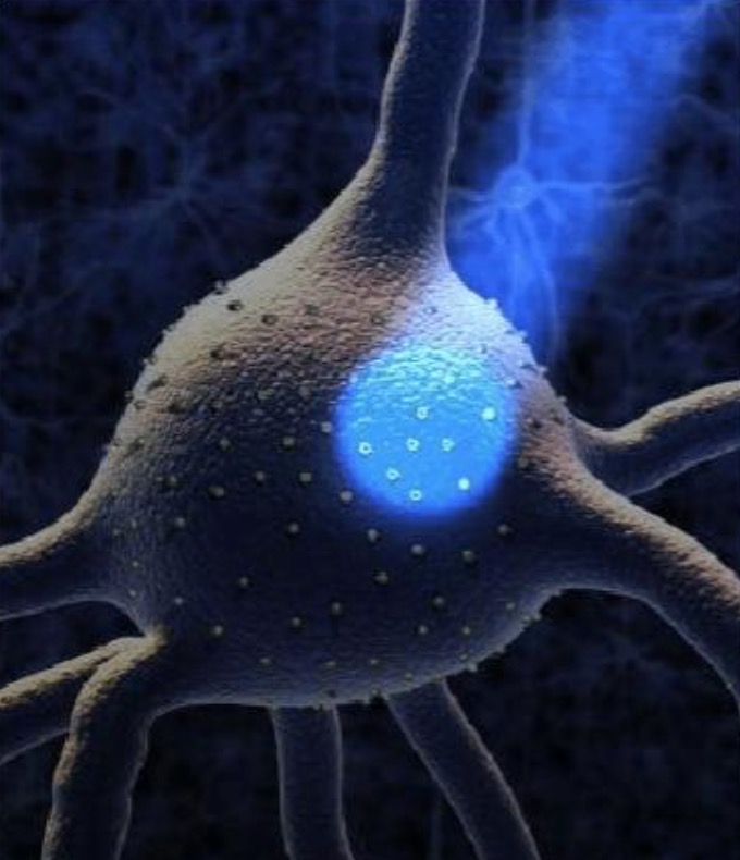 厦门大学黄烯教授和欧阳鑫昊副教授团队在Small Methods发表研究论文