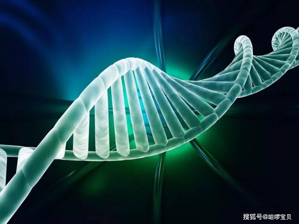用DNA主导框架使被拆散移民家庭团圆
