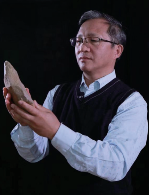 Science 2020年十大科学突破解读-肽度TIMEDOO