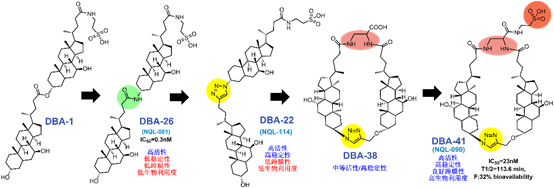 北京生命科学研究所/清华大学生物医学交叉研究院齐湘兵和李文辉实验室合作开发高效二聚体胆酸类NTCP抑制剂-肽度TIMEDOO