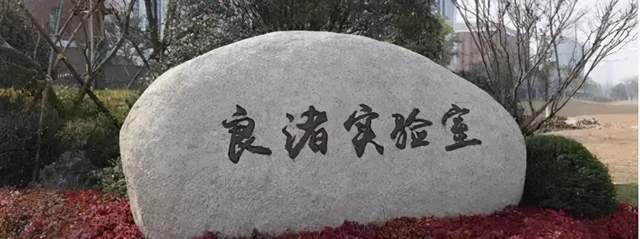 浙大联合良渚实验室发现癌症免疫治疗新靶点,通过下调 PD-L1 激发自体免疫,成果将通过公司进行转化-肽度TIMEDOO