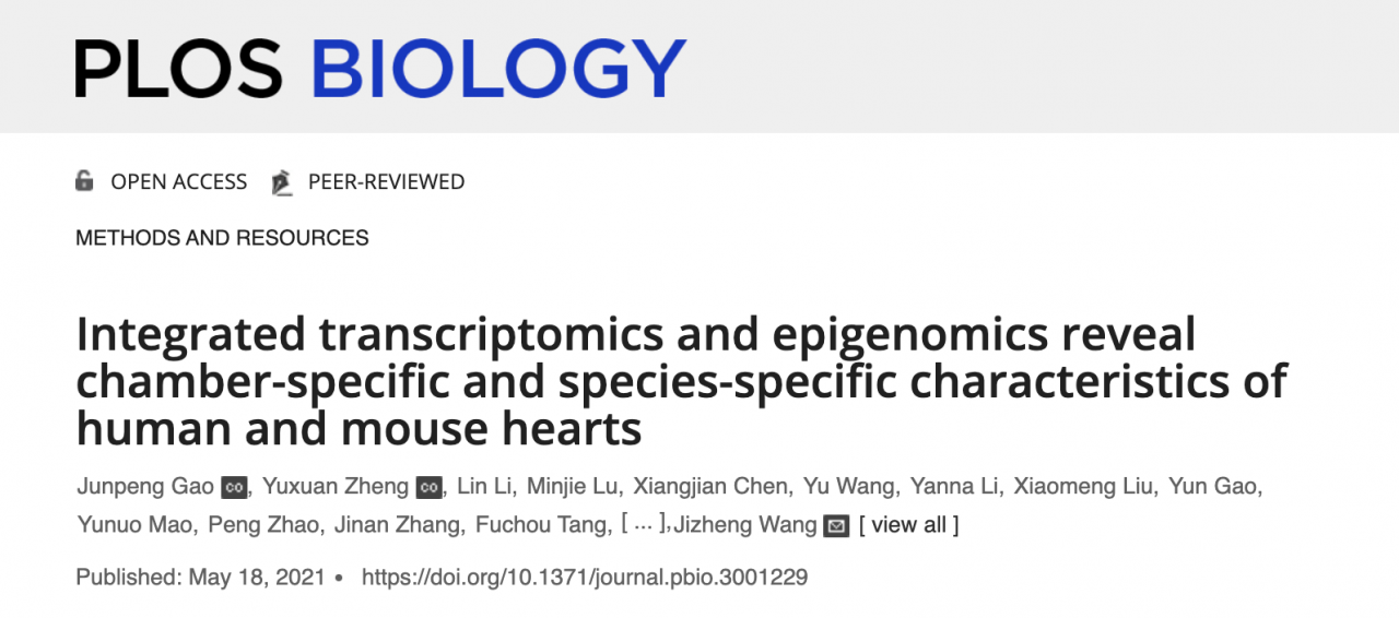 北京大学BIOPIC文路课题组与合作者绘制人类心脏多组学图谱-肽度TIMEDOO