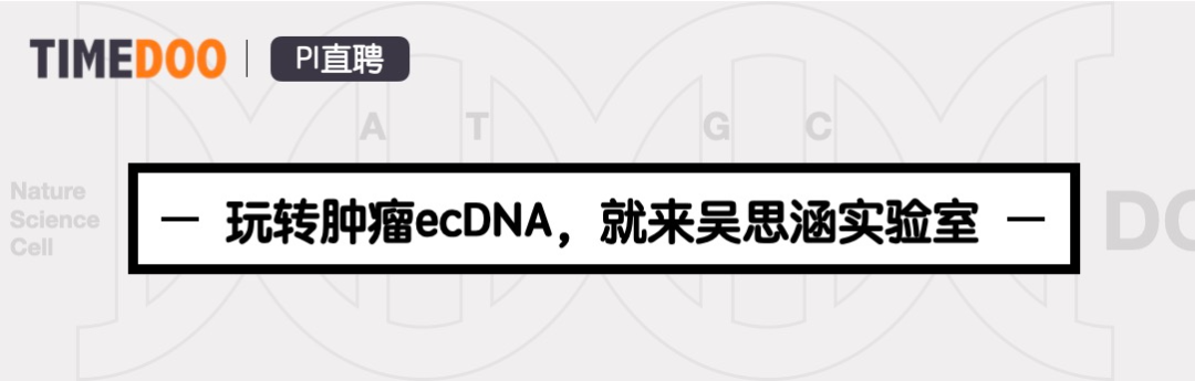 PI直聘|美国得克萨斯大学西南医学中心吴思涵实验室开放多个博士后职位（肿瘤ecDNA）-肽度TIMEDOO