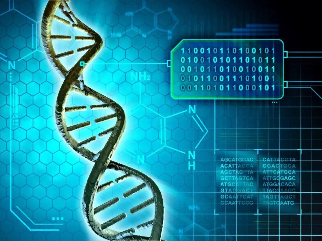 新发现挑战生物学以往观点 哺乳动物细胞可将RNA序列写入DNA