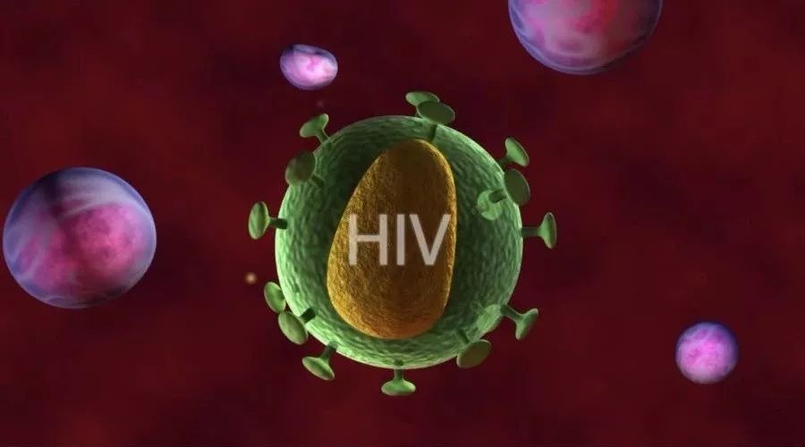 更高剂量的中和抗体可保护人类免受 HIV 侵害