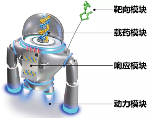 赵宇亮院士:“智能纳米机器用于重大疾病治疗的研究进展”-肽度TIMEDOO