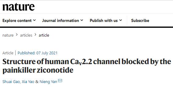 颜宁团队Nature发文：指路止痛药研发-肽度TIMEDOO