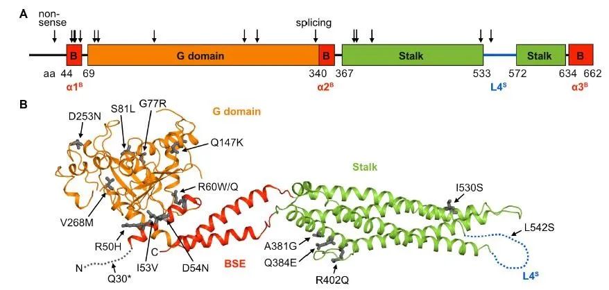 中山大学公共卫生学院（深圳）舒跃龙教授研究团队在Science发表H7N9禽流感研究新成果