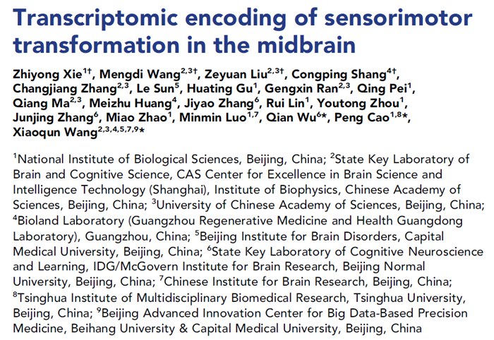 北京生命科学研究所曹鹏课题组与中科院生物物理所王晓群课题组合作揭示大脑启动攻击/防御行为的分子遗传编码机制