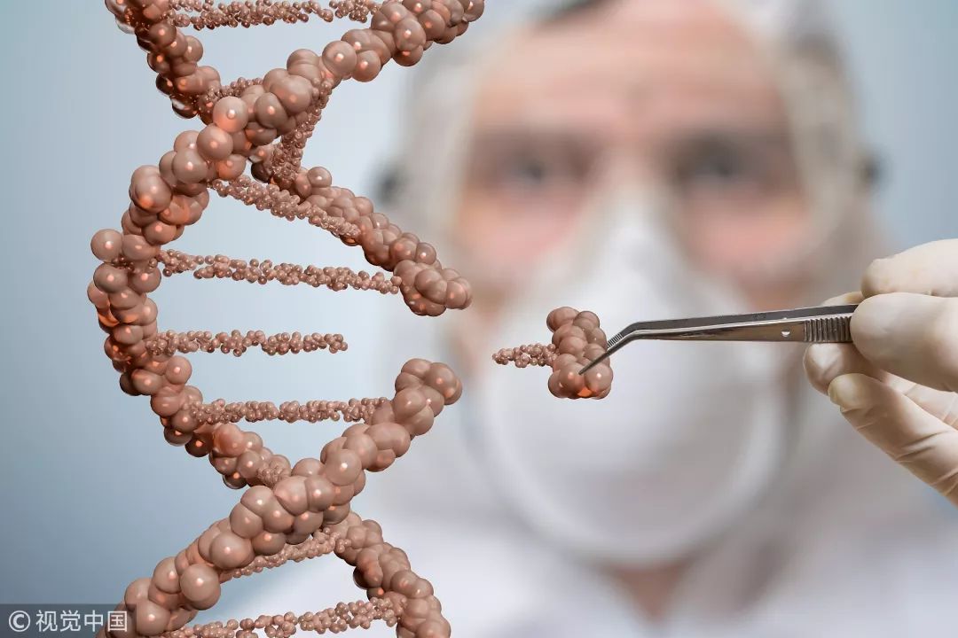 港科大研发新型基因编辑技术 有潜力成阿尔茨海默病治疗手段