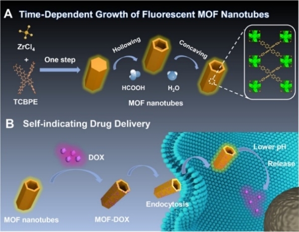 金属有机骨架（MOFs）在药物递送中的应用研究取得进展
