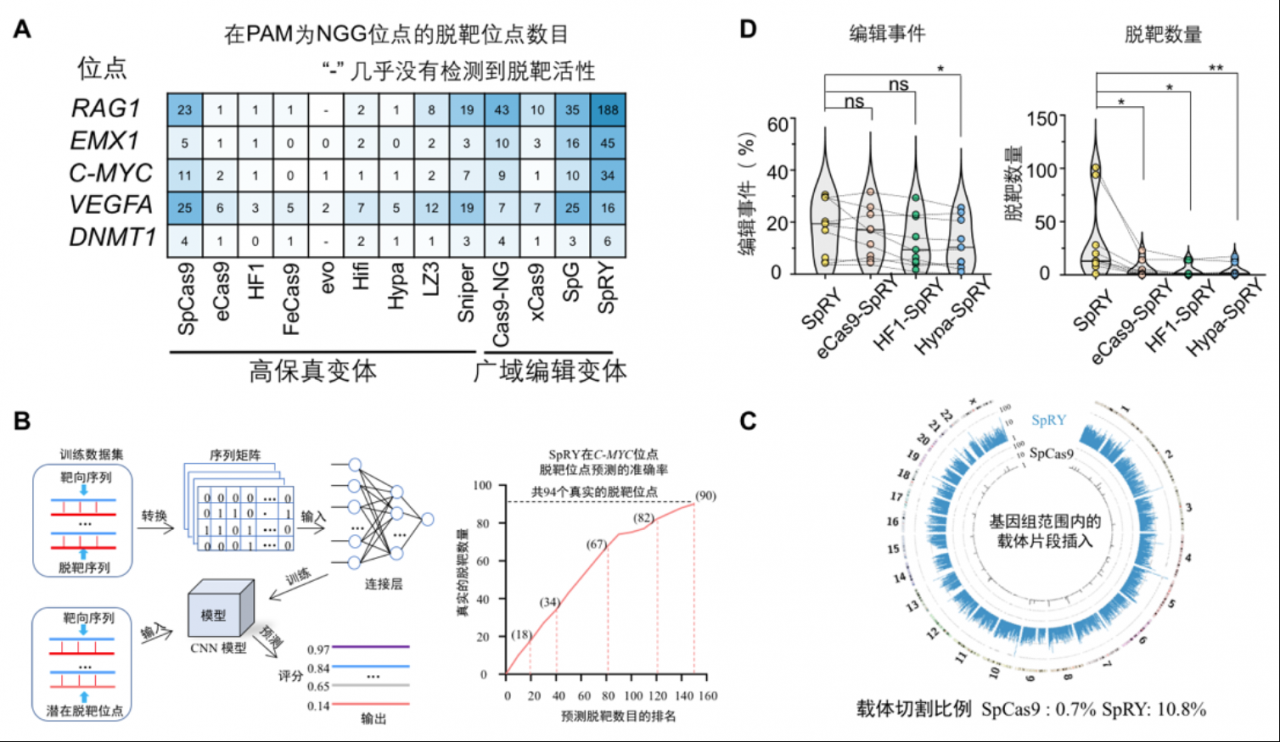 北京大学生命科学学院胡家志课题组开发全面评估基因编辑产物新方法-肽度TIMEDOO