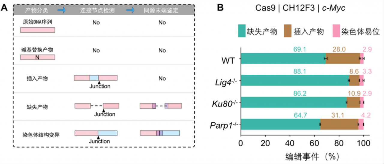 北京大学生命科学学院胡家志课题组开发全面评估基因编辑产物新方法