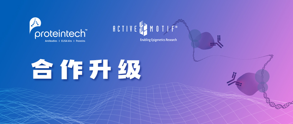 Proteintech战略投资表观遗传学专家Active Motif，完善“人类抗体组计划”！-肽度TIMEDOO