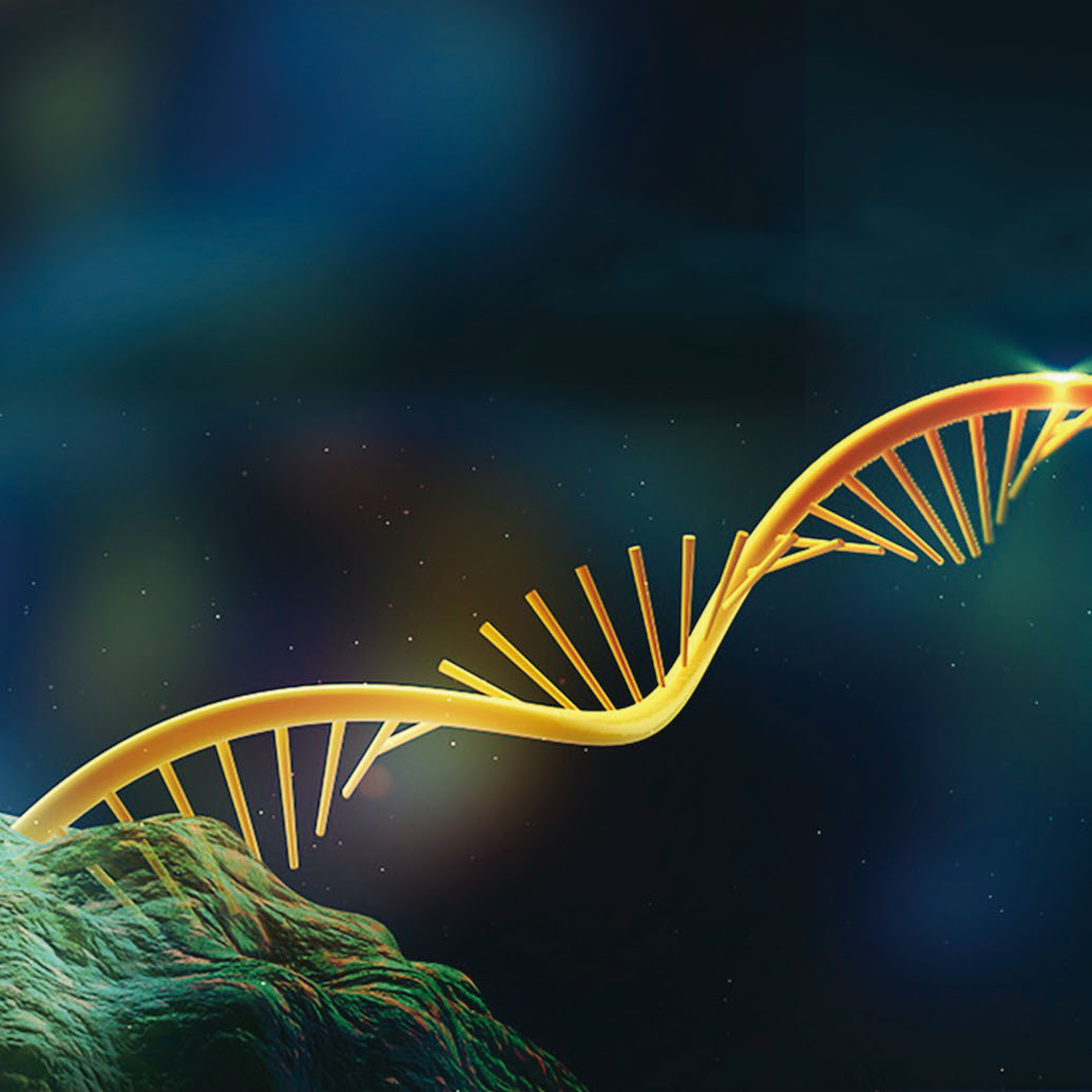 人体细胞可将RNA写回DNA