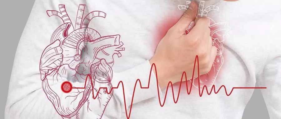 心动信号如何传输？科学家揭开结构秘密