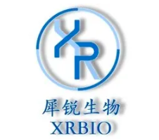 2021默克粤港澳大湾区创新训练营精彩结营，创新活力未完待续！-肽度TIMEDOO