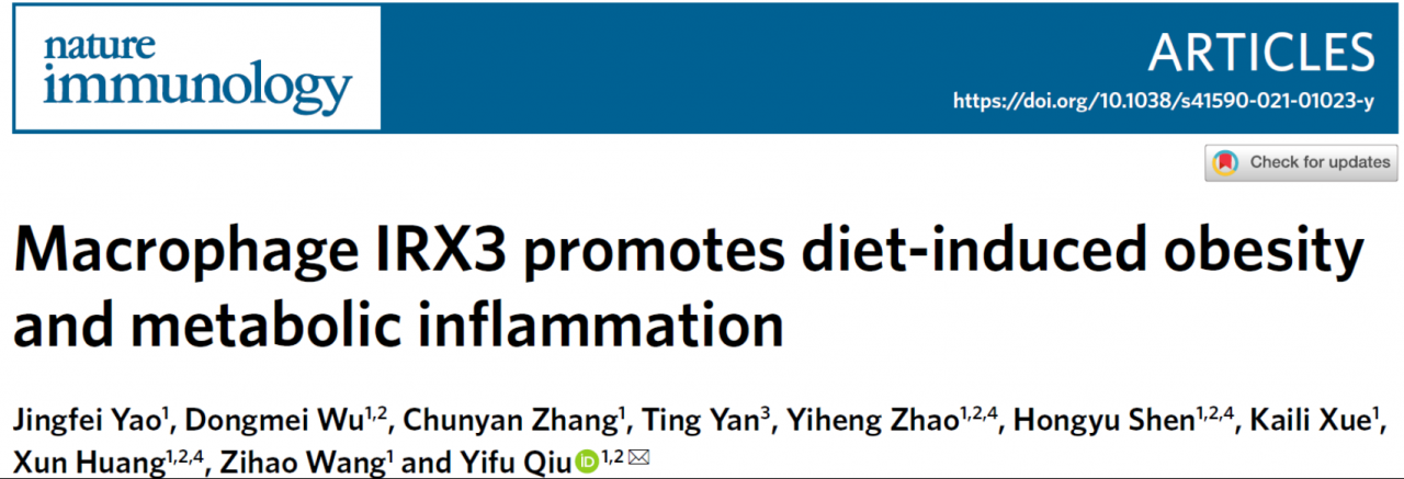 北京大学邱义福团队发现IRX3蛋白调控肥胖的新机制-肽度TIMEDOO