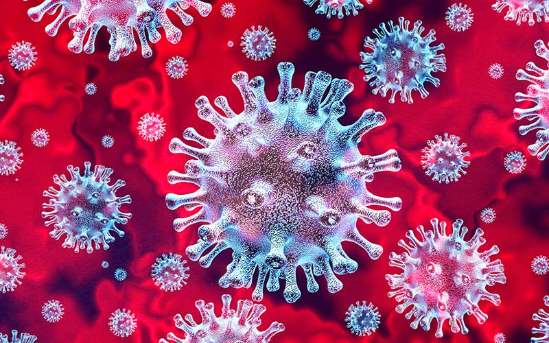 可同时对付4种血清型病毒 首个防治登革热药物有望问世
