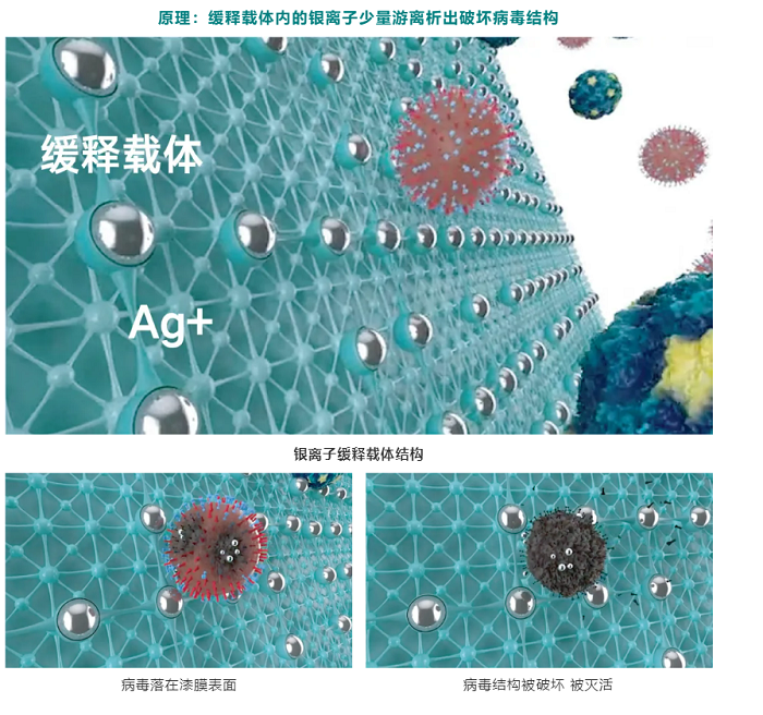立邦紧跟“大健康”趋势,发布全新健康科技赋能医疗空间环境“免疫力”-肽度TIMEDOO