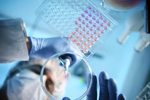 部分机构医学科研诚信案件调查处理结果（2021年10月15日）