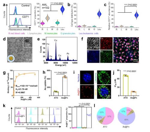科学家实现三氧化二砷“仿生递送”治疗白血病