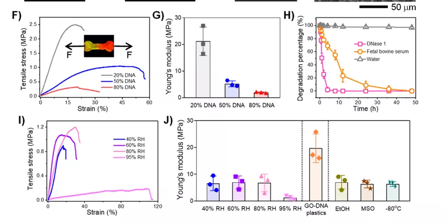 天津大学科学家研发可持续DNA生物塑料，生产全流程绿色环保，废弃后加点水就能回收-肽度TIMEDOO