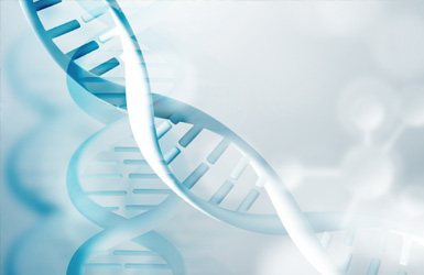关于国家重点研发计划“合成生物学”重点专项2021年拟立项项目安排公示的通知