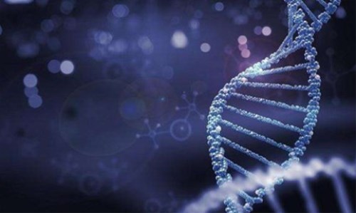 改造“分子胶水”可开发抗肿瘤新药