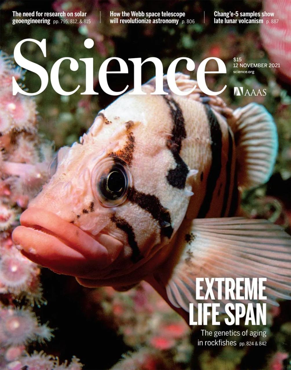 Science封面：长寿的奥秘！科学家在深海找到了-肽度TIMEDOO