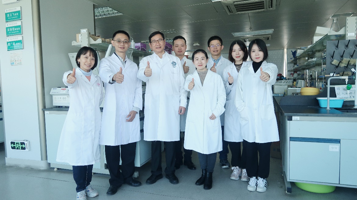 《自然》正刊发文！暨南大学研究团队在肥胖与代谢性疾病领域取得重大突破