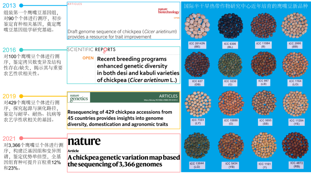 Nature | 国际半干旱热带作物研究中心携手华大等机构，完成鹰嘴豆大规模基因组研究-肽度TIMEDOO