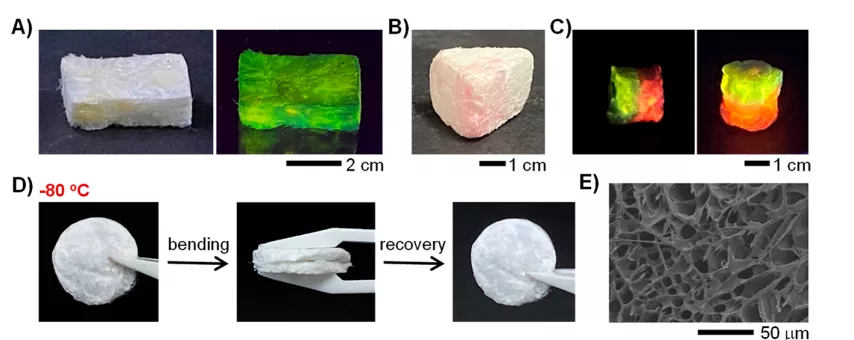天津大学科学家研发可持续DNA生物塑料，生产全流程绿色环保，废弃后加点水就能回收-肽度TIMEDOO