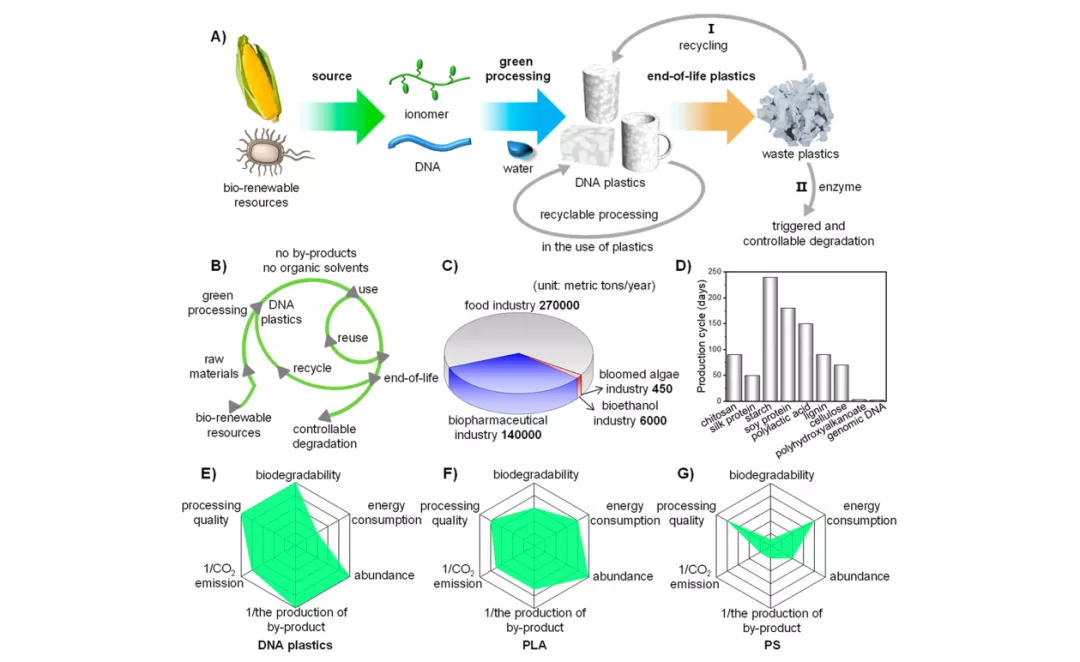 天津大学科学家研发可持续DNA生物塑料，生产全流程绿色环保，废弃后加点水就能回收-肽度TIMEDOO