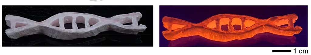 天津大学科学家研发可持续DNA生物塑料，生产全流程绿色环保，废弃后加点水就能回收-肽度TIMEDOO