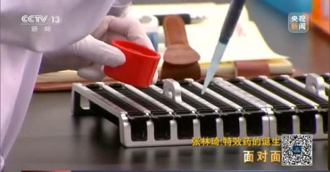 中国首款抗新冠病毒抗体特效药是如何诞生的？-肽度TIMEDOO