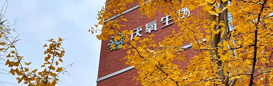 厌氧生物:布局人体微生物创新药研发,首个多联配方菌药即将开展临床二期-肽度TIMEDOO