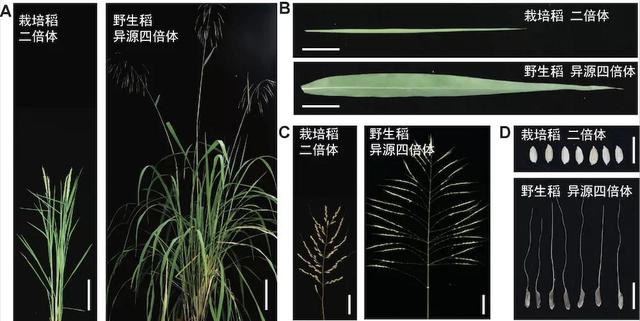 两院院士评选“2021年中国/世界十大科技进展新闻”揭晓-肽度TIMEDOO