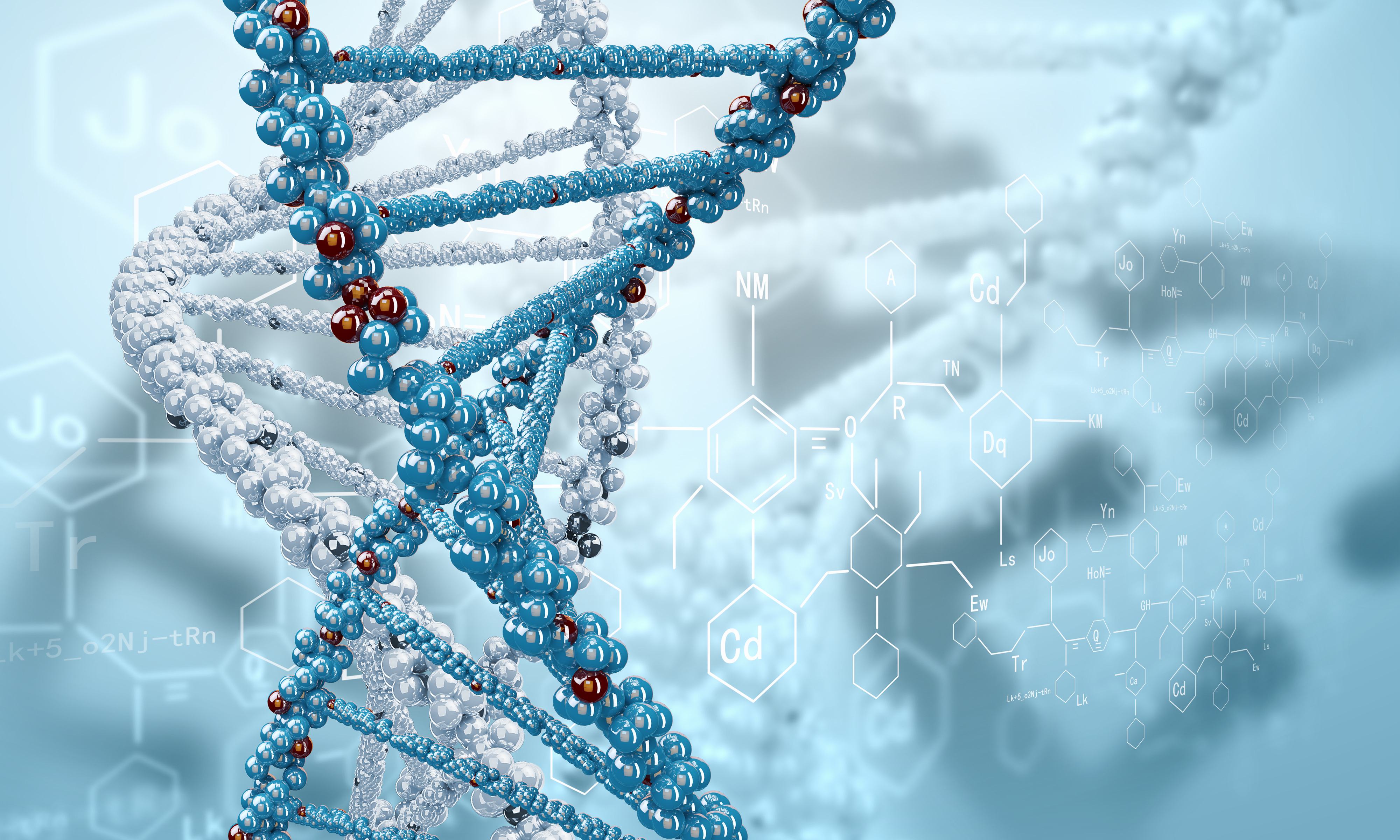 DNA“阀门”有效控制细胞过程流动