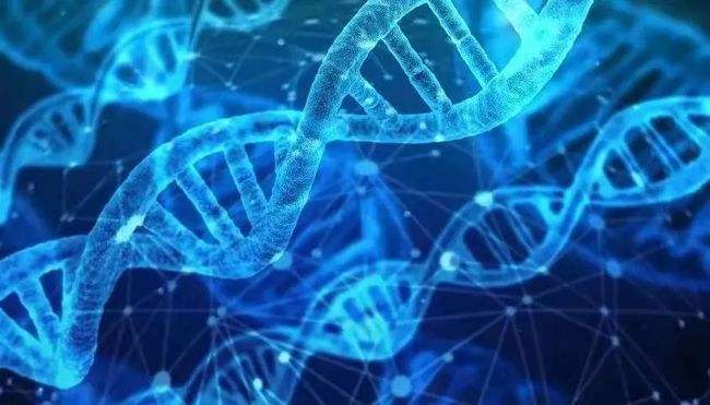 新研究挑战DNA随机突变进化理论  或促进植物育种和人类遗传学研究的突破