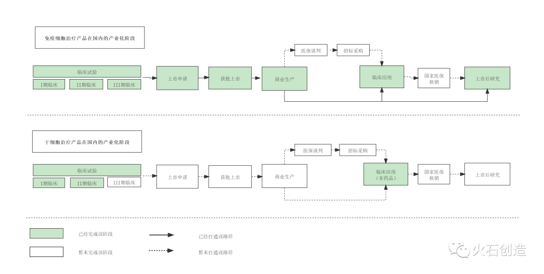 我国细胞治疗产业发展阶段及前景分析-肽度TIMEDOO