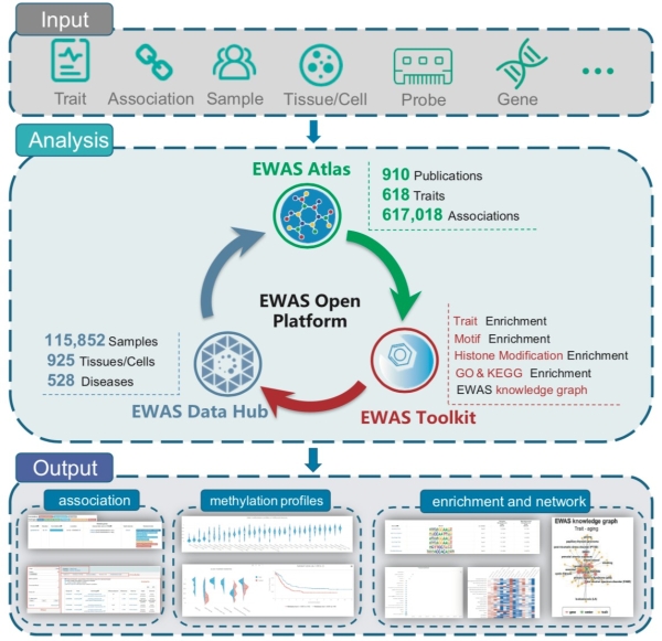 北京基因组所发布表观基因组关联研究开放平台EWAS Open Platform