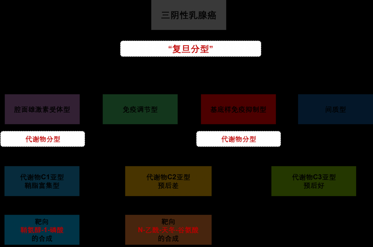 从肿瘤代谢视角为三阴性乳腺癌求解