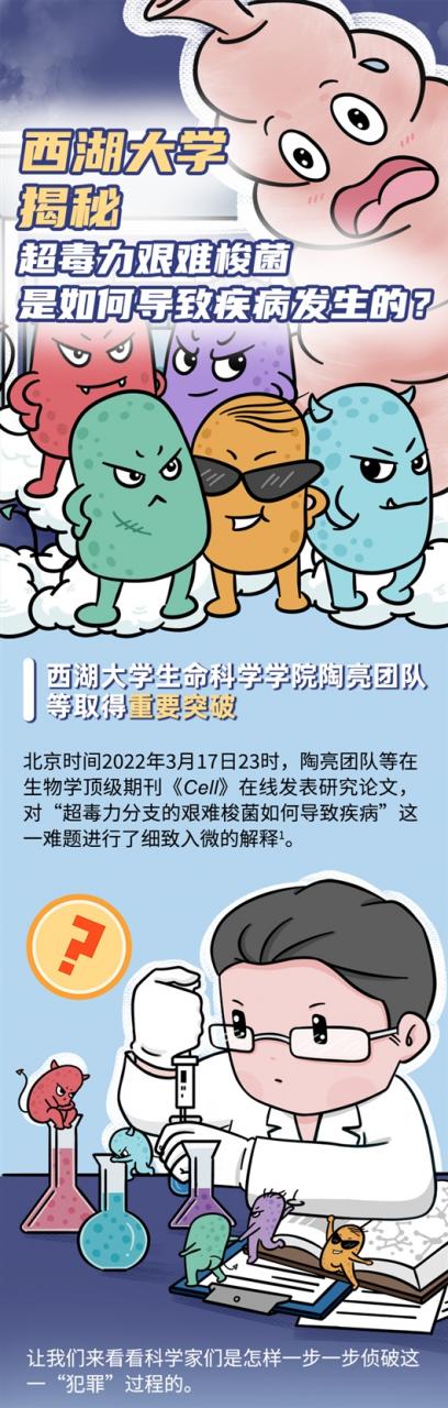 科学家发现艰难梭菌毒素B入侵人体的新大门-肽度TIMEDOO