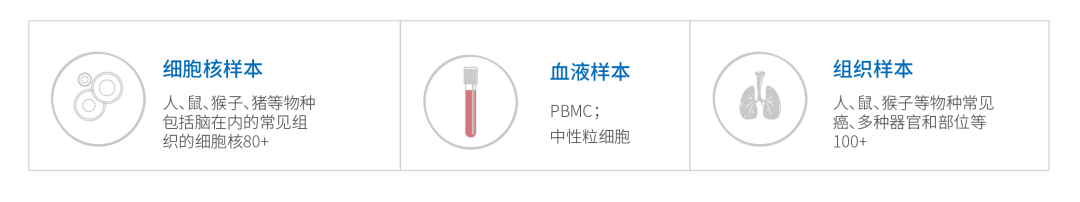 新品|华大智造单细胞利器DNBelab C4开启规模化单细胞研究新时代-肽度TIMEDOO